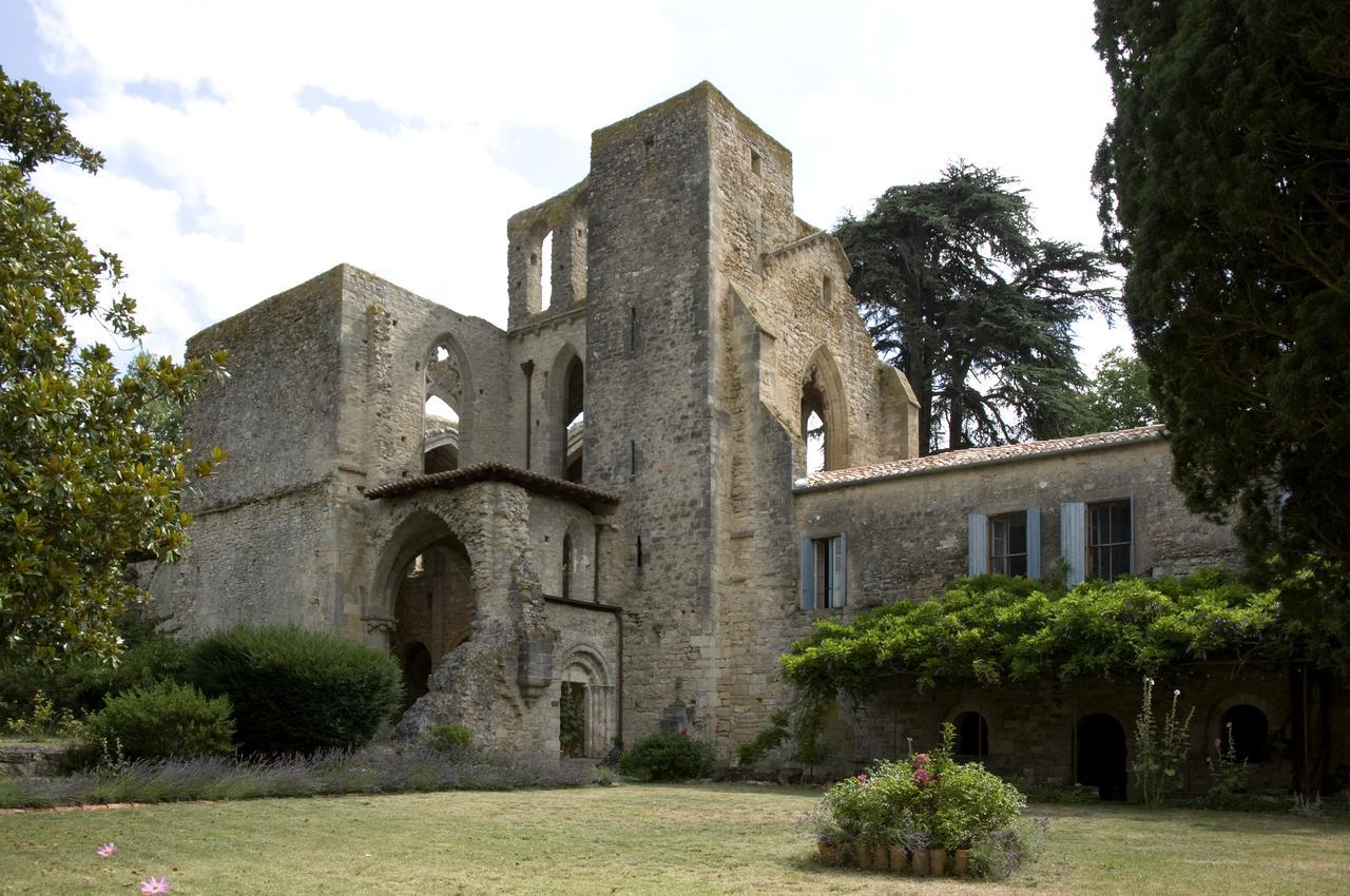 Abbaye De Villelongue Saint-Martin-le-Vieil Экстерьер фото